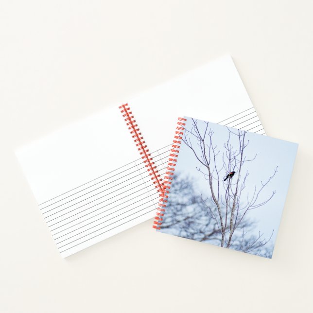 Soloist Notebook (Inside)