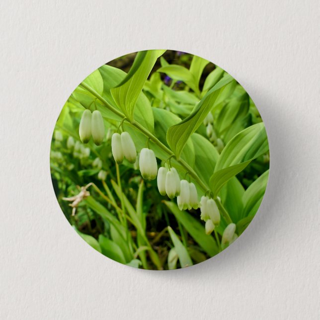 Solomons Seal Badge Button (Front)