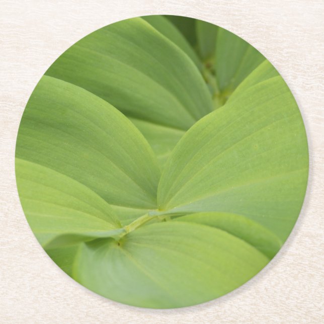 Solomons Seal Round Paper Coaster (Front)