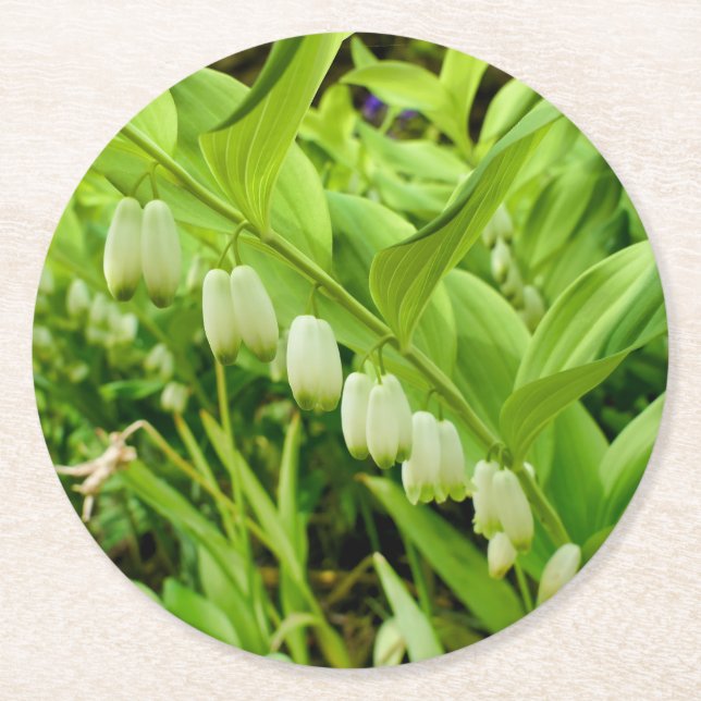 Solomons Seal Round Paper Coaster (Front)