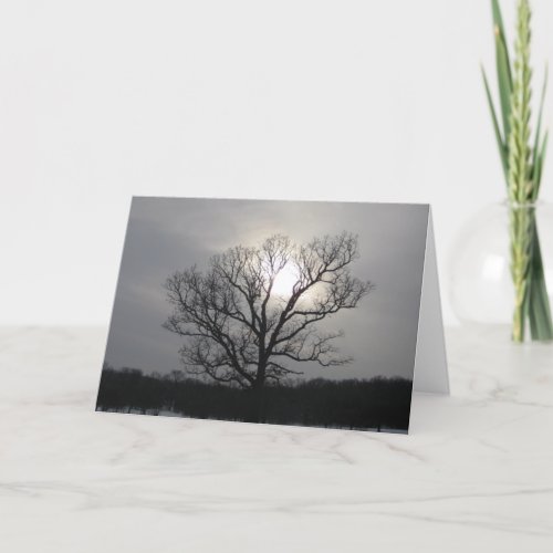 Solstice Sun I Blank Add Your Message Inside Card