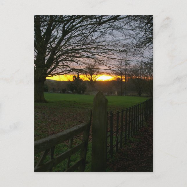 Solstice Sunset Postcard (Front)