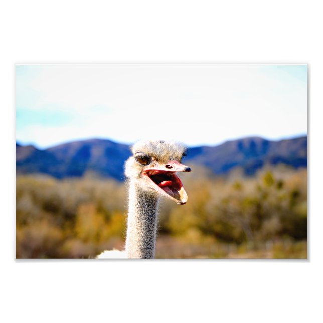 Solvang, CA Photo Print (Front)