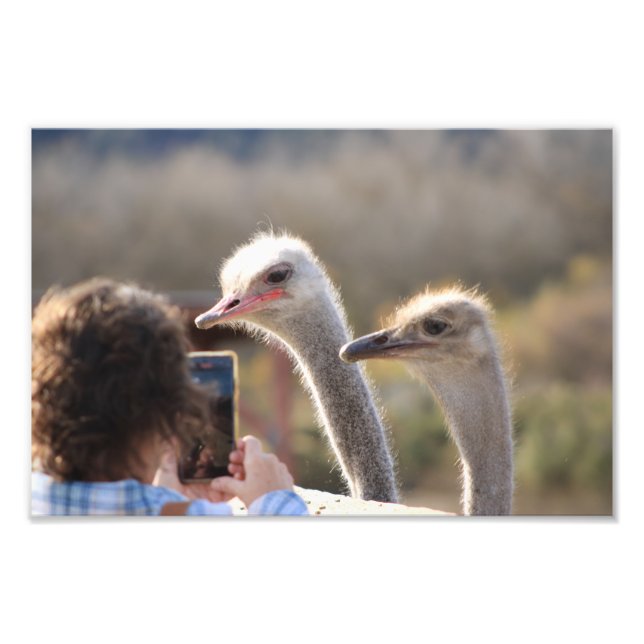 Solvang, CA Photo Print (Front)