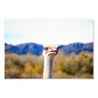 Solvang, CA Photo Print