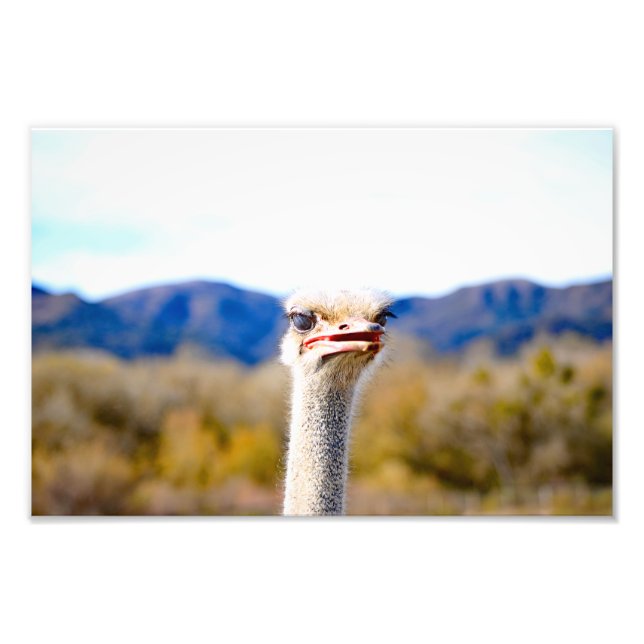 Solvang, CA Photo Print (Front)