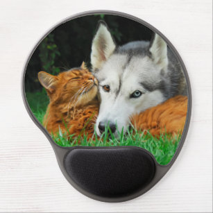 Somali cat and Siberian Husky cute friends huddle Gel Mouse Pad