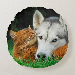 Somali cat and Siberian Husky cute friends huddle Round Pillow
