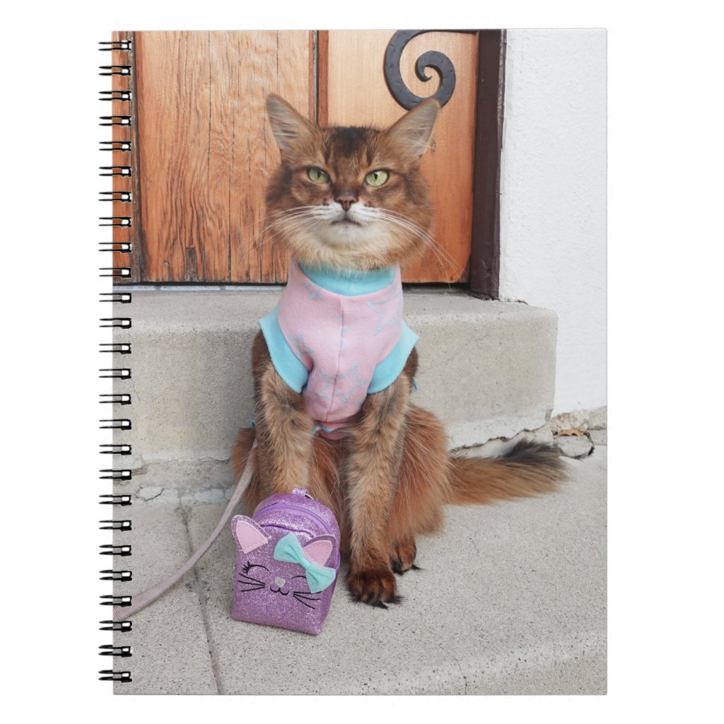 Somali Cat Back to School With Tiny Backpack Notebook