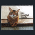 Somali Cat Calendar 2024 featuring Summer Samba<br><div class="desc">Summer Samba,  the internet's most popular Somali cat,  is back with 12 months of fun and beauty in her 2024 wall calendar! She's featured in some of her followers' favorite poses,  outfits,  and settings! Enjoy her whimsical cat life all year round.</div>