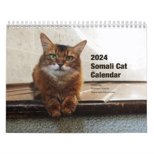 Somali Cat Calendar 2024 featuring Summer Samba