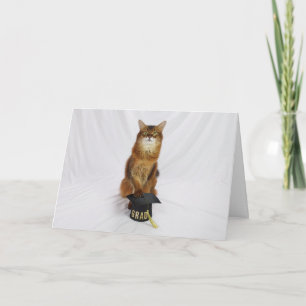 Somali Cat Graduation Cap Greeting for Grads Card