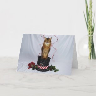 Somali Cat in a Christmas Hat Basket Greeting Thank You Card