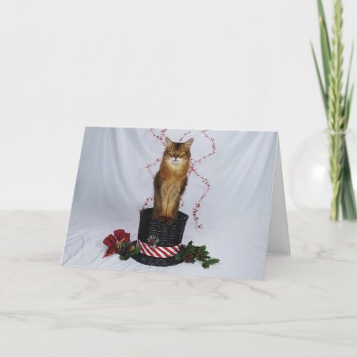 Somali Cat in a Christmas Hat Basket Greeting Thank You Card