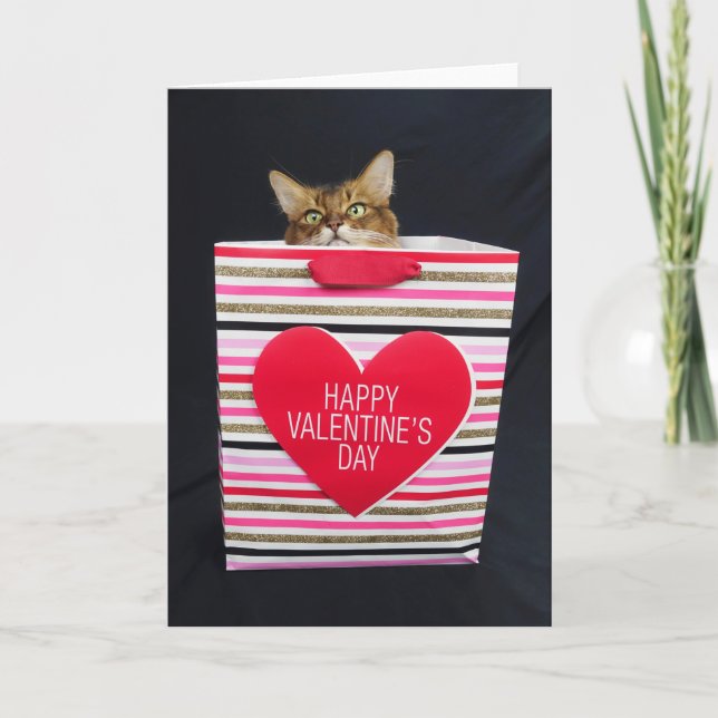 Somali Cat in a Happy Valentine's Day Bag Card (Front)
