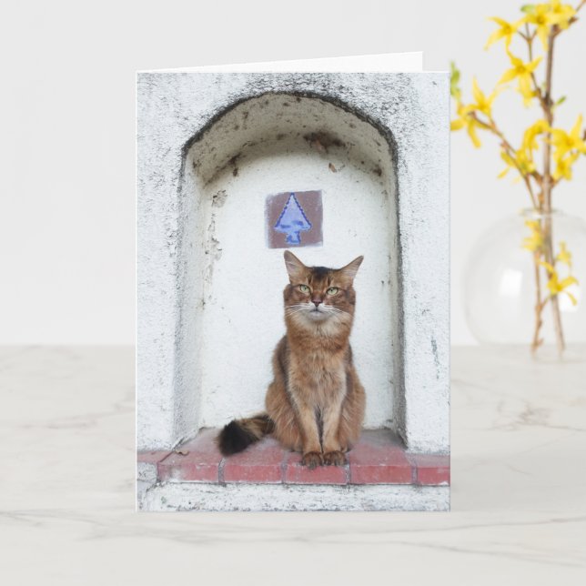 Somali Cat in Alcove Old World Scene Greeting Card (Yellow Flower)