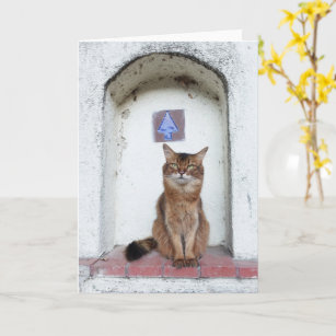 Somali Cat in Alcove Old World Scene Greeting Card