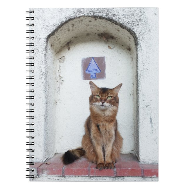 Somali Cat in Alcove Old World Scene Notebook (Front)