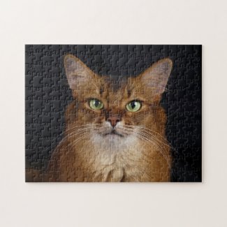 Somali Cat Photo Portrait Jigsaw Puzzle