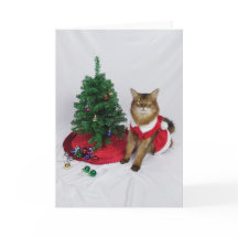 Somali Cat Santa Tree Decorating Christmas Card