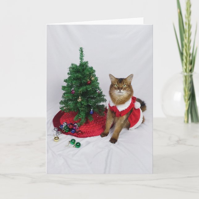 Somali Cat Santa Tree Decorating Christmas Card (Front)