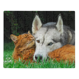 Somali Cat Siberian Husky Cute Friends Huddle Love Jigsaw Puzzle
