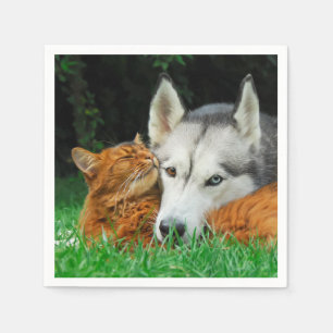 Somali Cat Siberian Husky Cute Friends Huddle Love Paper Napkins