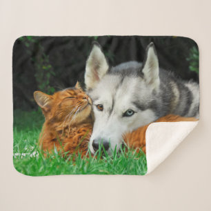 Somali Cat Siberian Husky Cute Friends Huddle Love Sherpa Blanket