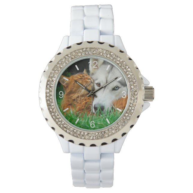 Somali Cat Siberian Husky Cute Friends Huddle Love Watch (Front)