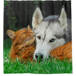 Somali cat Siberian Husky cute friends huddle -Tub Shower Curtain