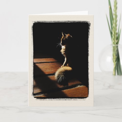 Somali Cat Silhouette Card