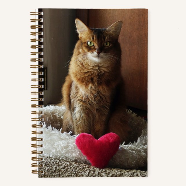 Somali Cat with Heart Notebook (Front)