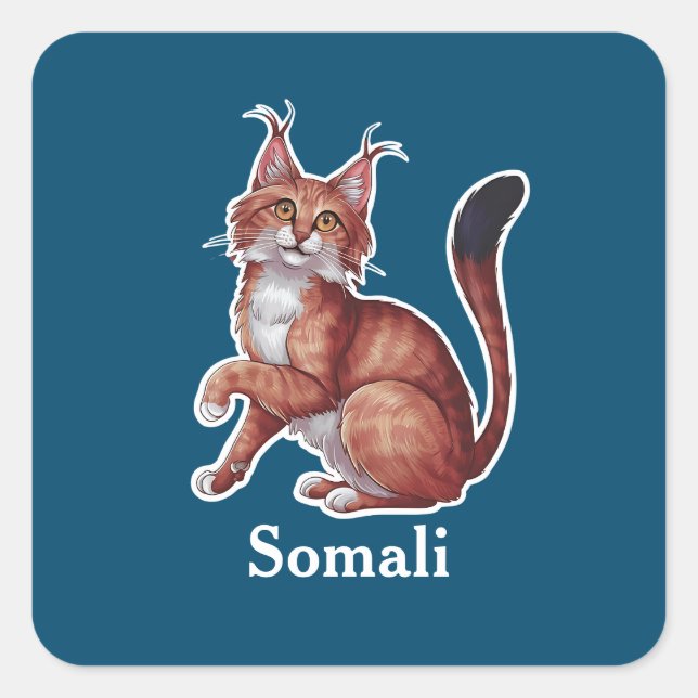Somali Square Sticker (Front)