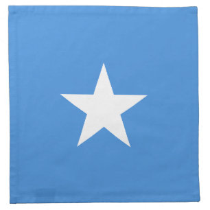 Somalia Flag Cloth Napkin