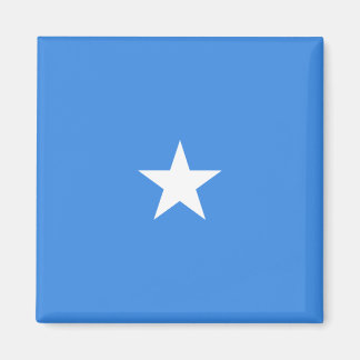 Somalia Flag Magnet