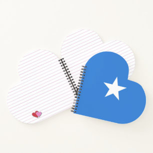 Somalia flag notebook