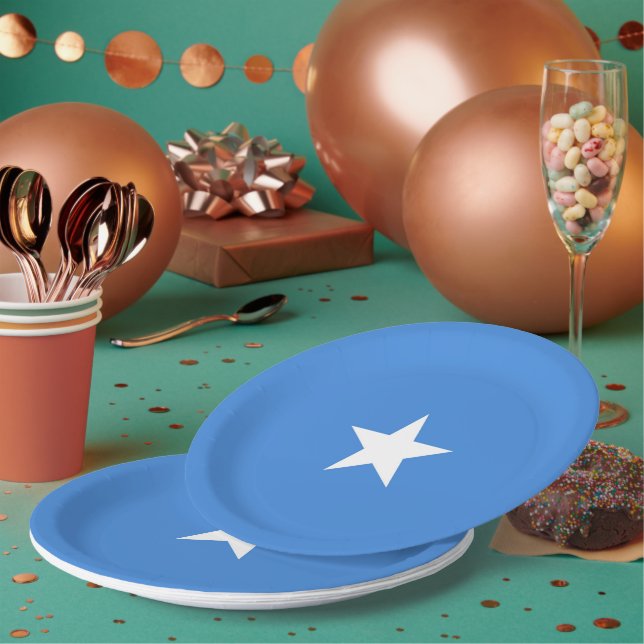 Somalia flag paper plates (Multi)