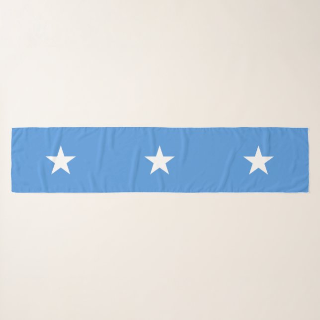 Somalia Flag Scarf (Front (Horizontal))