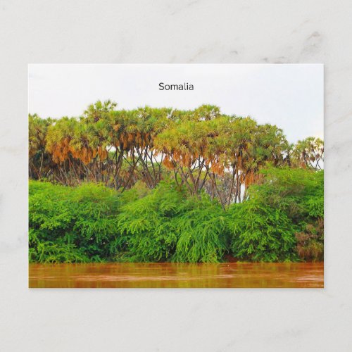Somalia landscape photograph postcard