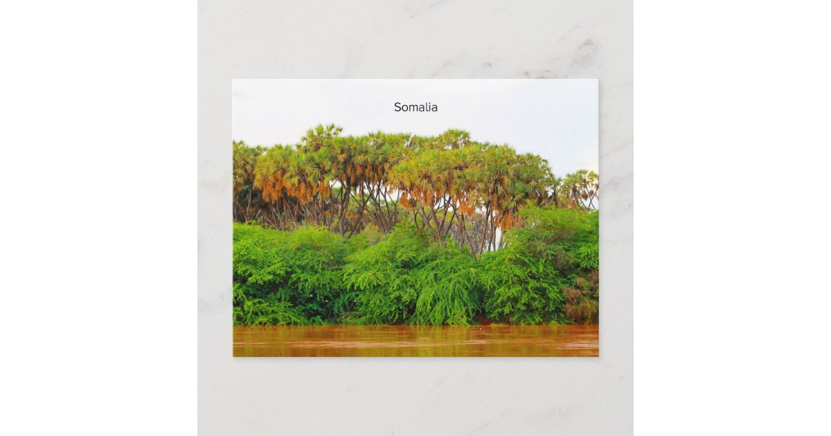 Somalia, landscape photograph postcard | Zazzle