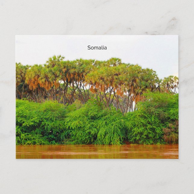 Somalia, landscape photograph postcard (Front)