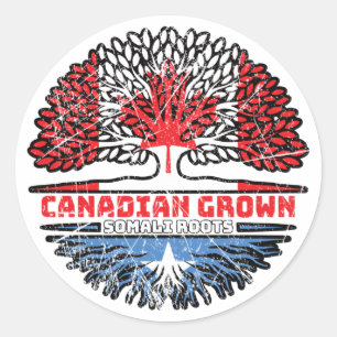 Somalia Somali Canadian Canada Tree Roots Flag Classic Round Sticker