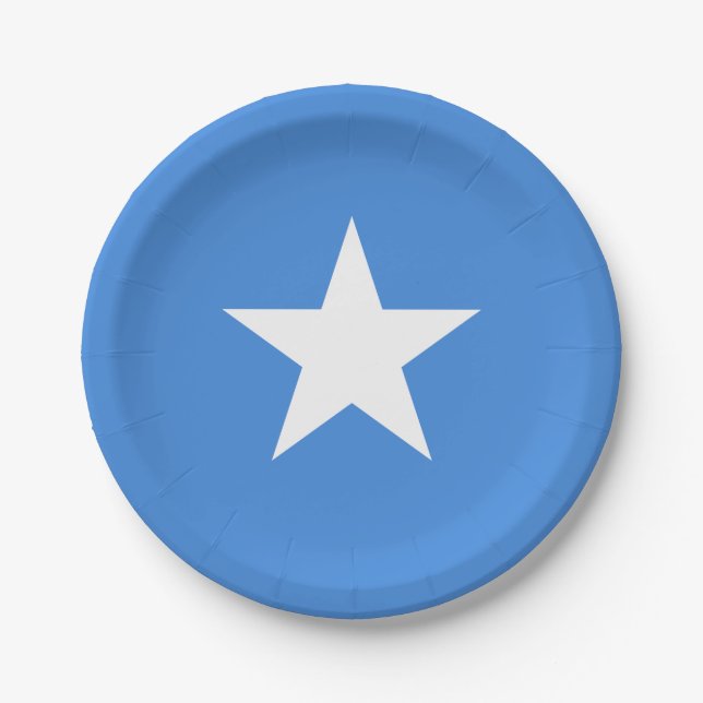 Somalia (Somalian) Flag Paper Plates (Front)