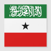 Somaliland Flag (Front)