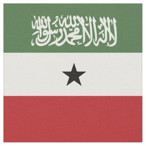 Somaliland flag fabric