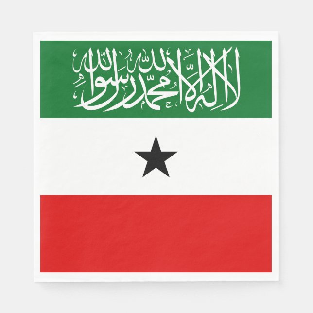 Somaliland Flag Napkins (Front)