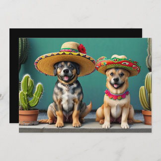 sombreros perros invitation