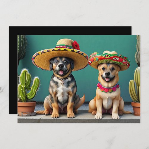 sombreros perros invitation