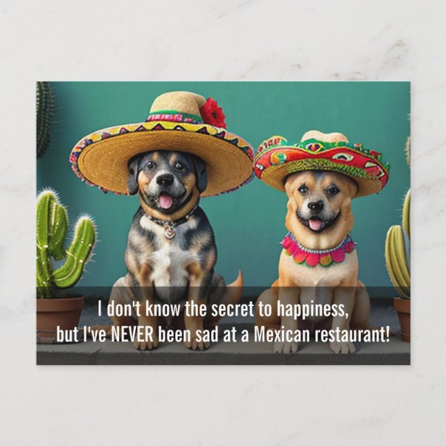 sombreros perros meme postcard (Front)