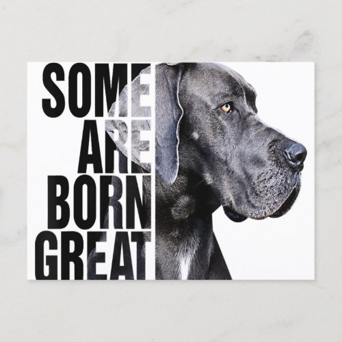 Some Are Born At Great Dane Lover Gift Dog Lover Announcement Postcard